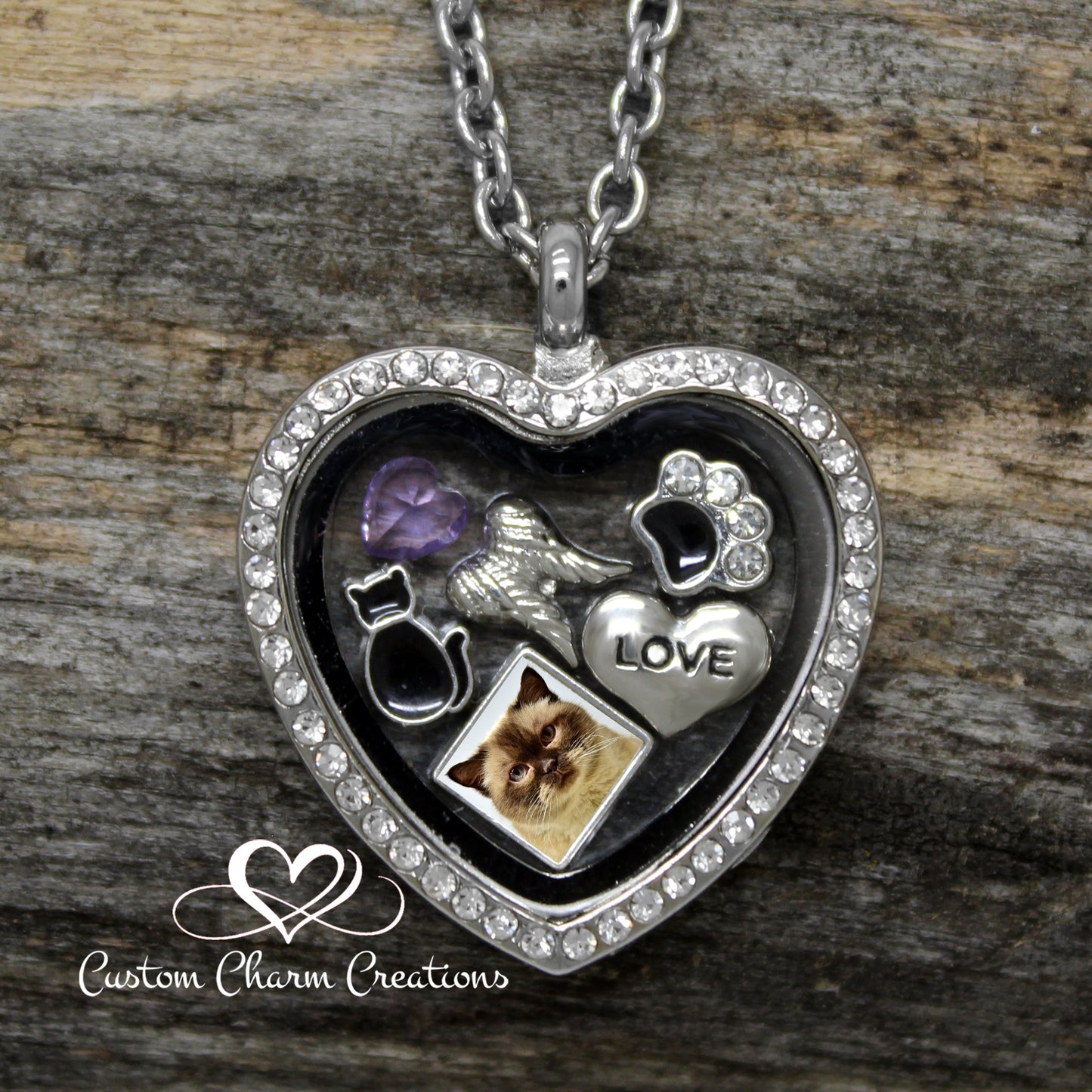 In Memory of my Cat Memorial Floating Locket Charm Set