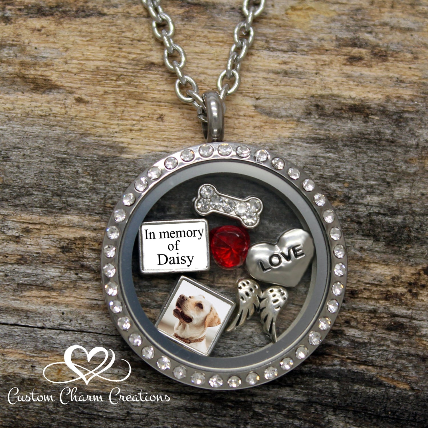 In Memory of my Dog Remembrance Necklace Sympathy Gift Loss of Pet Personalized Picture Charm Birthstone